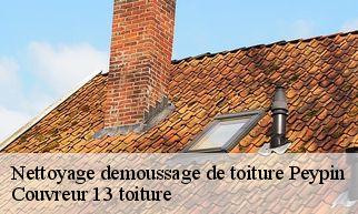 Nettoyage demoussage de toiture  peypin-13124 Couvreur 13 toiture