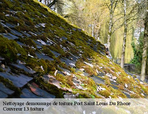 Nettoyage demoussage de toiture