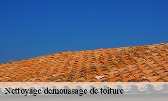 Nettoyage demoussage de toiture