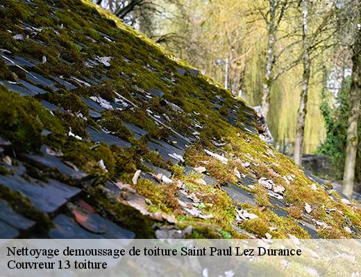Nettoyage demoussage de toiture