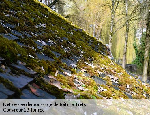 Nettoyage demoussage de toiture
